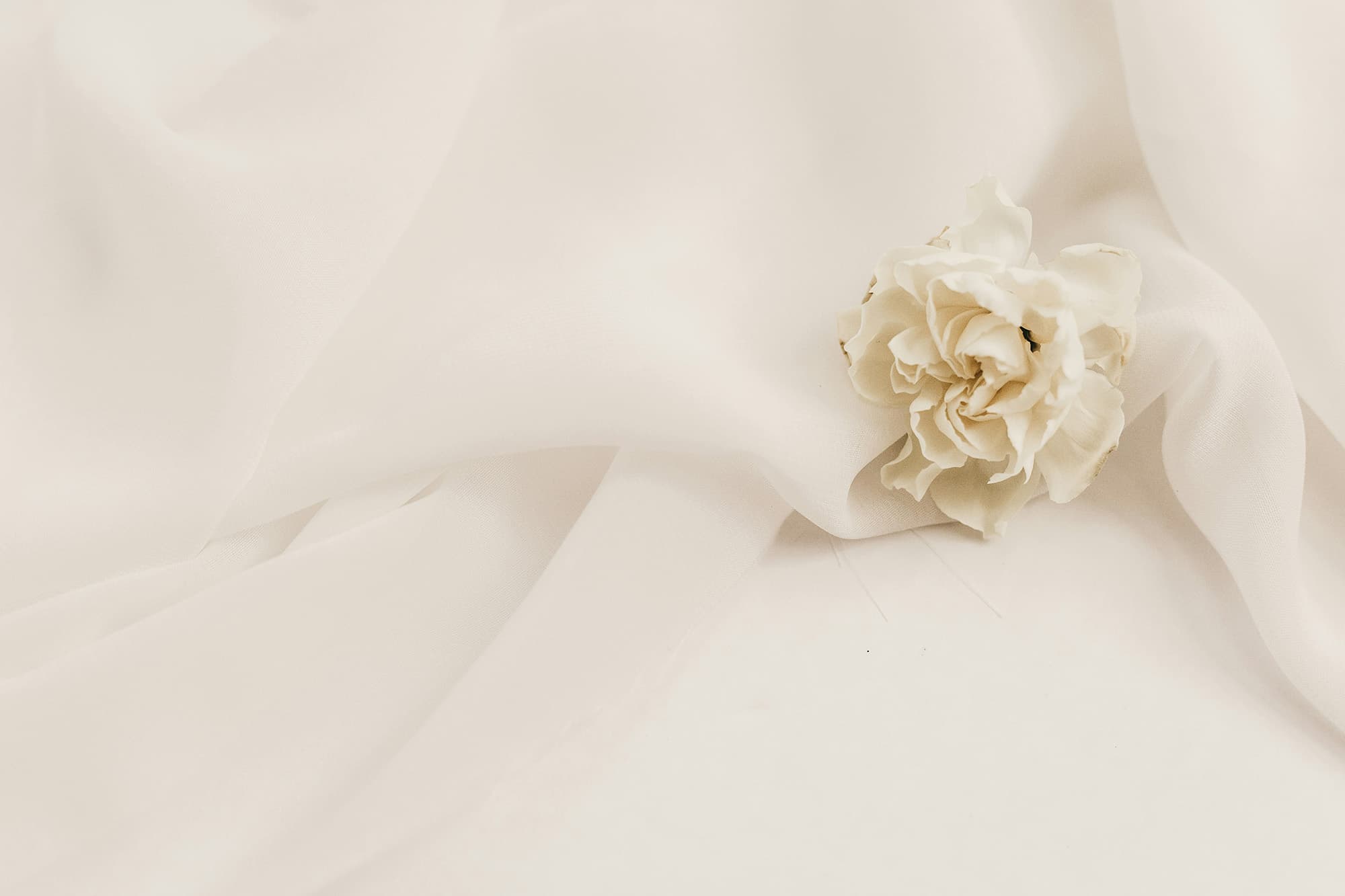 Beige flower on a beige silk sheet